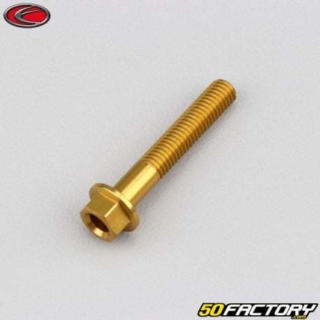 Tornillo de cabeza hexagonal Evotech de 5x30 mm base dorada (simple)