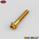 Tornillo de cabeza hexagonal Evotech de 5x30 mm base dorada (simple)