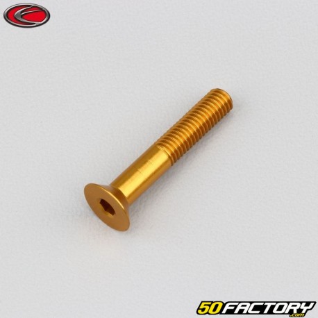 Tornillo de 5x30 mm BTR cabeza avellanada Evotech oro (simple)