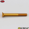 Tornillo de 5x45 mm BTR cabeza avellanada Evotech oro (simple)