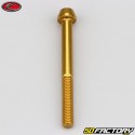 5x50 mm vite testa BTR conica Evotech gold (singola)