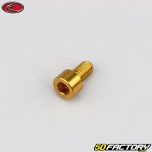 Vite 6x10 mm testa BTR Evotech dorato (per unità)