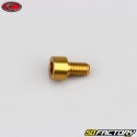 6x10 mm screw BTR head Evotech gold (single)