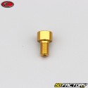 6x10 mm screw BTR head Evotech gold (single)