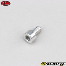 Vite 6x10 mm testa BTR grigio Evotech (per unità)