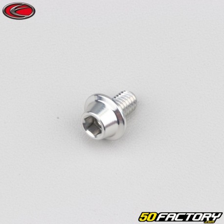 6x10 mm vite BTR testa bombata grigia base Evotech (per unità)