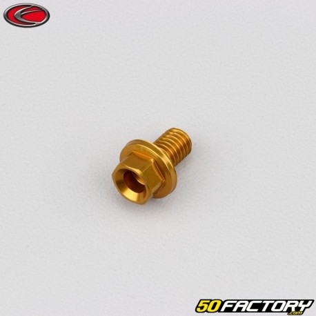 6x10 mm vite testa esagonale Evotech base oro (singola)