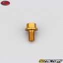 6x10 mm screw hex head Evotech gold base (single)