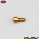 5x12 mm Schraube BTR Kopf Evotech Gold (einzeln)