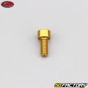 5x12 mm Schraube BTR Kopf Evotech Gold (einzeln)