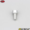 6x12 mm screw BTR head Evotech gray (per unit)