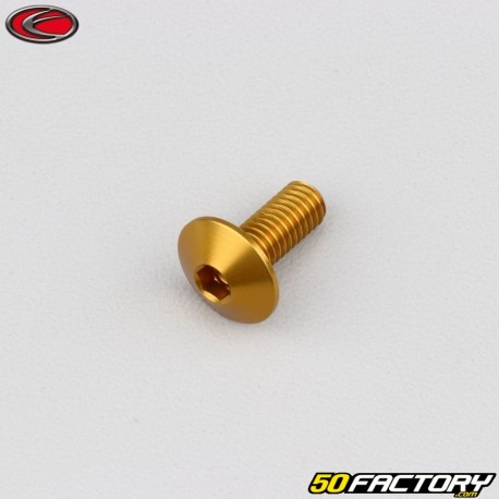 Vis 6x15 mm tête BTR bombée Evotech dorée (à l'unité)