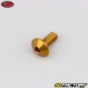 6x15 mm screw Evotech domed head BTR gold (single)