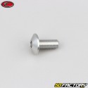 6x15 mm screw rounded head BTR Evotech gray (per unit)