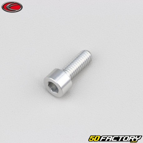 6x15 mm Schraube BTR Kopf Evotech grau (pro Einheit)