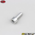 6x15 mm screw BTR head Evotech gray (per unit)