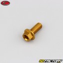 6x15 mm screw hex head Evotech gold base (single)