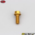 6x15 mm screw hex head Evotech gold base (single)
