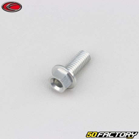 6x15 mm vite testa esagonale grigia base Evotech (singola)