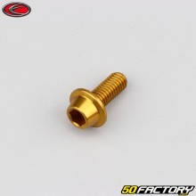 Schraube 6x15 mm BTR-Kopf gewölbt goldfarben Evotech Zylinderfuß (einzeln)