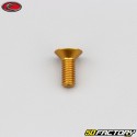 6x15 mm parafuso BTR cabeça escareada Evotech gold (simples)