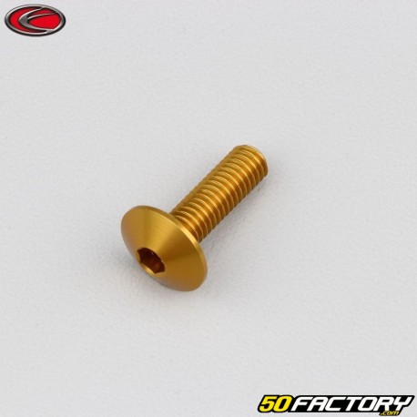 6x20 mm screw Evotech domed head BTR gold (single)