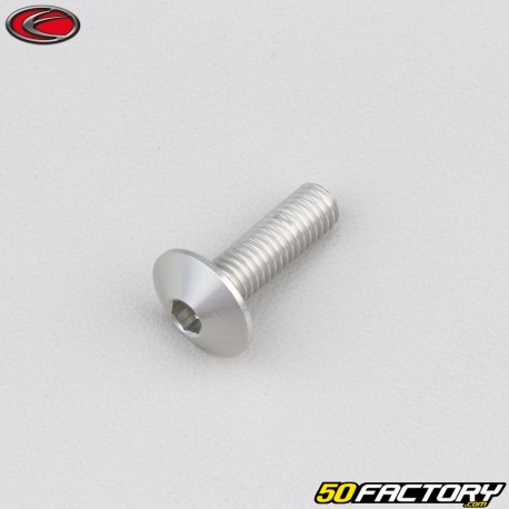 6x20 mm screw rounded head BTR Evotech gray (per unit)