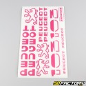 Standard graphic kit Peugeot 103 MVL,  Vogue bubblegum pink