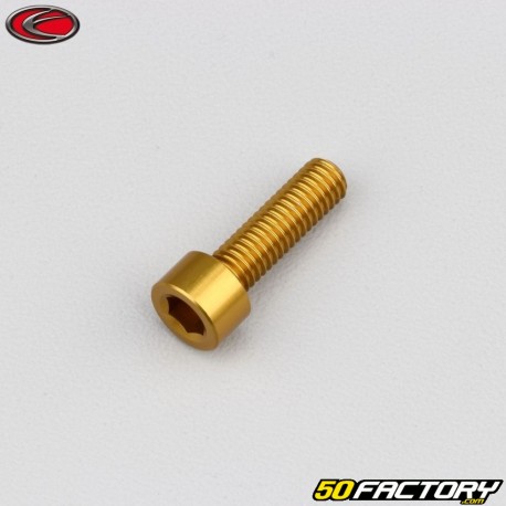 XNUMXxXNUMX mm parafuso cabeça BTR Evotech gold (simples)