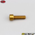 Tornillo de XNUMXxXNUMX mm cabeza BTR Evotech oro (simple)