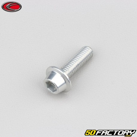 Tornillo de 6x20 mm BTR cabeza abombada gris base Evotech (por unidad)