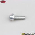 Tornillo de 6x20 mm BTR cabeza abombada gris base Evotech (por unidad)