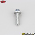 Tornillo de 6x20 mm BTR cabeza abombada gris base Evotech (por unidad)