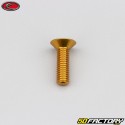 Tornillo de 6x20 mm BTR cabeza avellanada Evotech oro (simple)