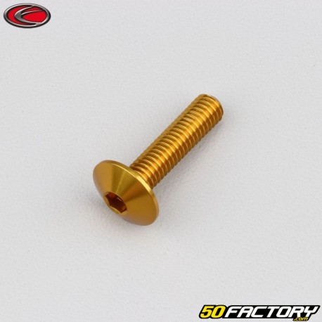6x25 mm screw Evotech domed head BTR gold (single)