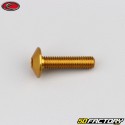 6x25 mm screw Evotech domed head BTR gold (single)