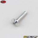 6x25 mm screw rounded head BTR Evotech gray (per unit)