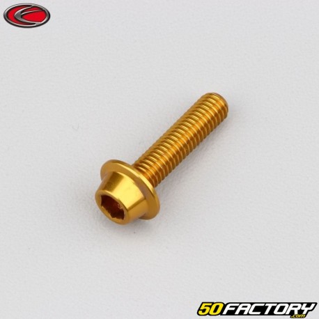 6x25 mm screws domed BTR head gold Evotech base (single)