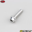 6x25 mm screw BTR domed head gray Evotech base (per unit)