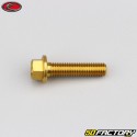 6x25 mm screw hex head Evotech gold base (single)