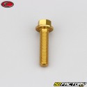 6x25 mm screw hex head Evotech gold base (single)