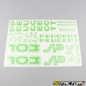 Kit decorativo Peugeot 103 SP verde manzana V1