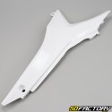 Honda CRF XNUMX, XNUMX R (XNUMX - XNUMX) placa lateral izquierda blanca