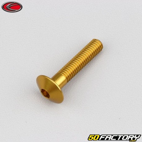 6x30 mm screw Evotech domed head BTR gold (single)