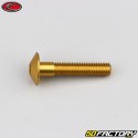 6x30 mm Schraube Evotech Linsenkopf BTR gold (einzeln)