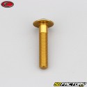 6x30 mm Schraube Evotech Linsenkopf BTR gold (einzeln)