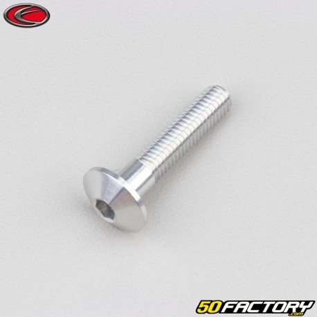 6x30 mm vite testa arrotondata BTR Evotech grigio (per unità)