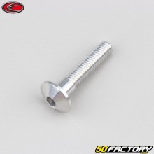 Vite 6x30 mm BTR testa tonda Evotech grigio (per unità)