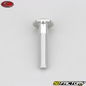 Tornillo cabeza redonda BTR Evotech gris de 6x30 mm (por unidad)