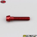 6x30 mm vite testa BTR conica rossa Evotech (per unità)